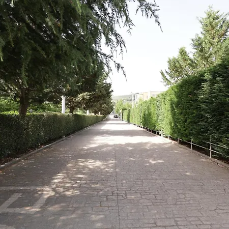 Mema Tirana