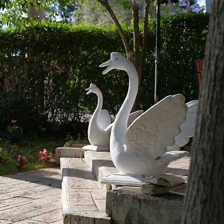 Hotel Serenata Korcare 4*